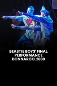 Beastie Boys: Live Bonnaroo Music and Arts Festival 2009 one on netflix