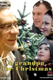 A grandpa for Christmas 2008 one on netflix
