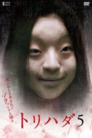 Torihada 5: yofukashi no anata ni zotto suru hanashi wo 2009 one on netflix