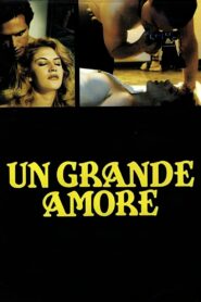 A Great Love 1995 one on netflix