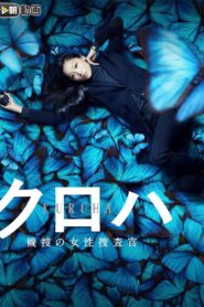 Pla-Baroque 2015 one on netflix