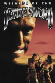 Wizards of the Demon Sword 1991 one on netflix