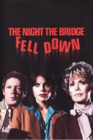 The Night the Bridge Fell Down 1980 one on netflix