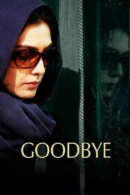 Goodbye 2011 one on netflix