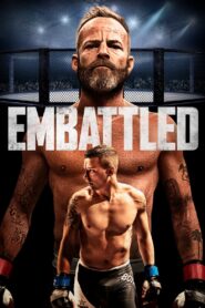 Embattled 2020 one on netflix