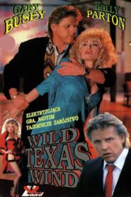 Wild Texas Wind 1991 one on netflix