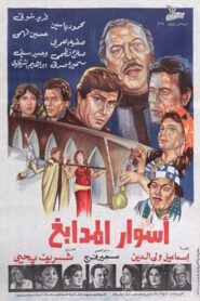 Walls of Tanneries 1983 one on netflix