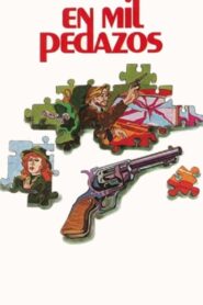 En mil pedazos 1980 one on netflix