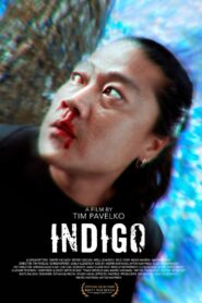 Indigo 2023 one on netflix