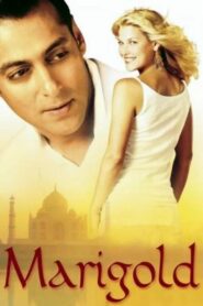 Marigold 2007 one on netflix