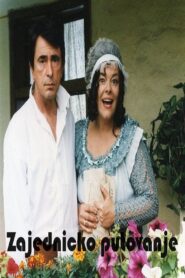 A Joint Journey 2002 one on netflix
