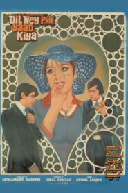 Dil Nay Phir Yaad Kiya 1981 one on netflix