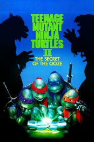 Teenage Mutant Ninja Turtles II: The Secret of the Ooze 1991 one on netflix
