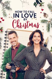 How to Fall in Love by Christmas 2023 one on netflix