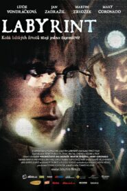 Labyrinth 2012 one on netflix