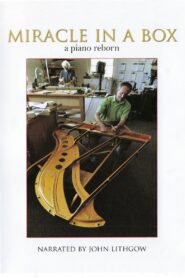 Miracle in a Box: A Piano Reborn 2009 one on netflix