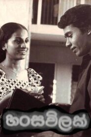 Hansa Vilak 1980 one on netflix