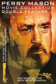 Perry Mason: The Case of the Skin-Deep Scandal 1993 one on netflix