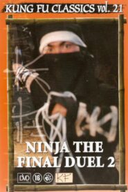 Ninja: The Final Duel II 1986 one on netflix