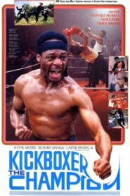 Kickboxer the Champion 1991 one on netflix