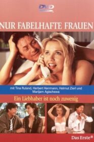 One Lover is not enough 2002 one on netflix