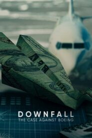 Downfall: The Case Against Boeing 2022 one on netflix
