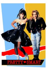 Pretty Smart 1987 one on netflix