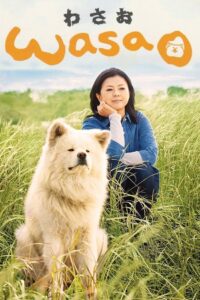 Wasao 2011 one on netflix