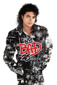 Bad 25 2012 one on netflix