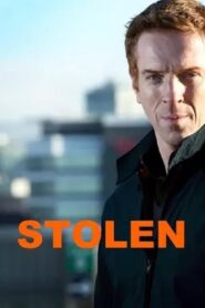 Stolen 2011 one on netflix