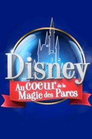 Disney : Au Cœur de la Magie des Parcs 2015 one on netflix