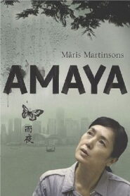 Hong Kong Confidential 2010 one on netflix