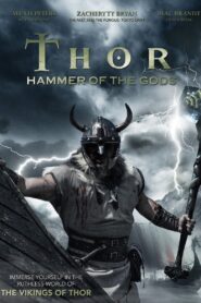 Thor – Hammer of the Gods 2009 one on netflix