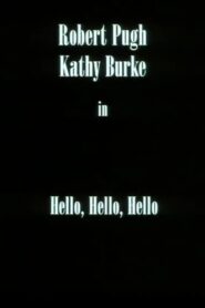 Hello, Hello, Hello 1995 one on netflix
