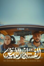 The Inevitable Journey to Find a Wedding Dress 2024 one on netflix