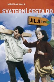 Bridal Tour to Jilji 1984 one on netflix