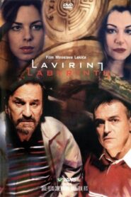 Labyrinth 2002 one on netflix