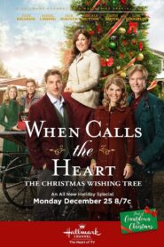 When Calls The Heart: The Christmas Wishing Tree 2017 one on netflix