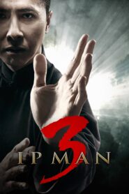 Ip Man 3 2015 one on netflix