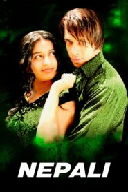 Nepali 2008 one on netflix