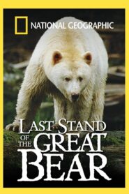 Last Stand of the Great Bear 2004 one on netflix