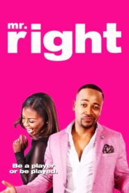Mr. Right 2015 one on netflix
