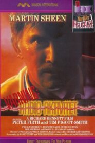A State of Emergency 1986 one on netflix