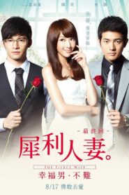 The Fierce Wife Final Episode 2012 one on netflix
