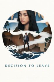 Decision to Leave 2022 one on netflix
