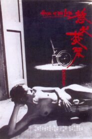 House of the Lute 1980 one on netflix