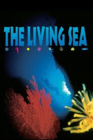 The Living Sea 1995 one on netflix