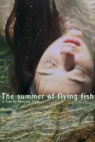 The Summer of Flying Fish 2013 one on netflix