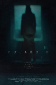 Polaroid 2015 one on netflix