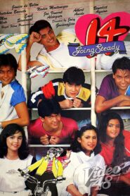 14 Going Steady 1984 one on netflix